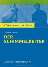 Der Schimmelreiter. Textanalyse und Interpretation