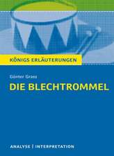 Die Blechtrommel. Textanalyse und Interpretation