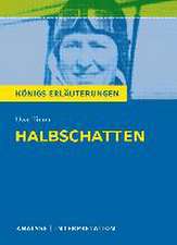 Halbschatten von Uwe Timm. Königs Erläuterungen