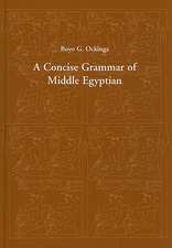 A Concise Grammar of Middle Egyptian