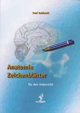 Anatomie Zeichenblätter