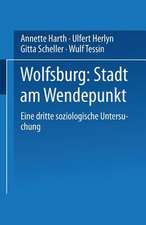 Wolfsburg: Stadt am Wendepunkt: Eine dritte soziologische Untersuchung