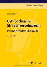 OWi-Sachen im Straßenverkehrsrecht