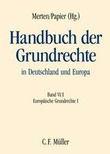 Handbuch der Grundrechte in Deutschland und Europa VI/1