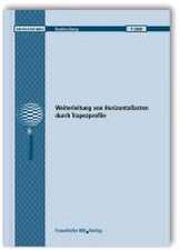 Weiterleitung von Horizontallasten durch Trapezprofile