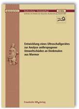 Entwicklung eines Ultraschallgerätes zur Analyse anthropogener Umweltschäden an Denkmalen aus Marmor. Abschlussbericht