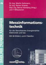 Messinformationstechnik