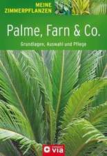 Palme, Farn & Co.