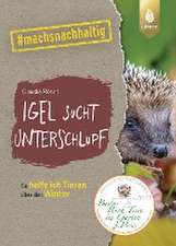 Igel sucht Unterschlupf