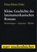 Kleine Geschichte des lateinamerikanischen Romans