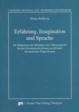 Erfahrung, Imagination und Sprache