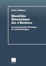 Räumliche Dimensionen des e-Business: Sozio-ökonomische Wirkungen der I&K-Technologien