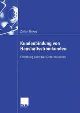 Kundenbindung von Haushaltsstromkunden: Ermittlung zentraler Determinanten