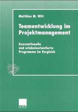 Teamentwicklung im Projektmanagement: Konventionelle und erlebnisorientierte Programme im Vergleich