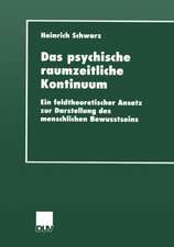 Das psychische raumzeitliche Kontinuum: Ein feldtheoretischer Ansatz zur Darstellung des menschlichen Bewusstseins