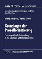 Grundlagen der Prozeßorientierung: Eine vergleichende Untersuchung in der Elektronik- und Pharmaindustrie