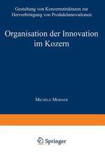 Organisation der Innovation im Konzern: Gestaltung von Konzernstrukturen zur Hervorbringung von Produktinnovationen