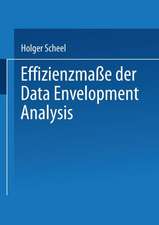 Effizienzmaße der Data Envelopment Analysis