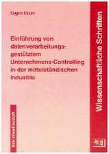 Einführung von datenverarbeitungsgestütztem Unternehmens-Controlling in der mittelständischen Industrie