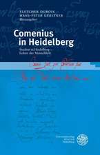 Comenius in Heidelberg