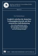 Vergleich zwischen der deutschen Verfassungsbeschwerde und dem armenischen Individualantrag