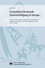 Grenzüberschreitende Strafverteidigung in Europa