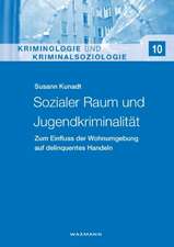 Sozialer Raum und Jugendkriminalität