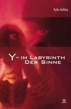 Y - Im Labyrinth der Sinne