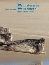 Weltnaturerbe Wattenmeer