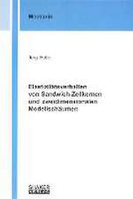 Elastizitätsverhalten von Sandwich-Zellkernen und zweidimensionalen Modellschäumen