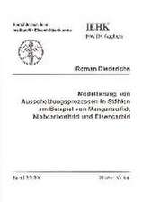 Modellierung von Ausscheidungsprozessen in Stählen am Beispiel von Mangansulfid, Niobcarbonitrid und Eisencarbid