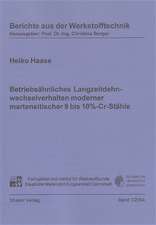 Betriebsähnliches Langzeitdehnwechselverhalten moderner martensitischer 9 bis 10%-Cr-Stähle