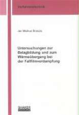 Untersuchungen zur Belagbildung und zum Wärmeübergang bei der Fallfilmverdampfung