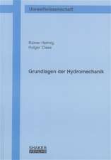 Grundlagen der Hydromechanik