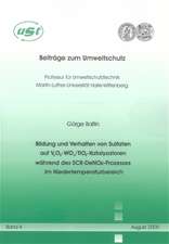 Bildung und Verhalten von Sulfaten auf V2O5-WO3/TiO2-Katalysatoren während des SCR-DeNOx-Prozesses im Niedertemperaturbereich