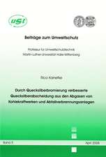 Durch Quecksilberbromierung verbesserte Quecksilberabscheidung aus den Abgasen von Kohlekraftwerken und Abfallverbrennungsanlagen