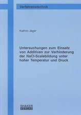 Untersuchungen zum Einsatz von Additiven zur Verhinderung der NaCl-Scalebildung unter hoher Temperatur und Druck