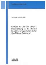 Einfluss der Gas- und Dampfblasenbildung auf die effektive Kinetik heterogen-katalysierter Gas/Flüssig-Reaktionen