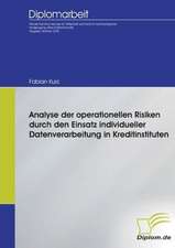 Analyse Der Operationellen Risiken Durch Den Einsatz Individueller Datenverarbeitung in Kreditinstituten: Chancen Und Risiken