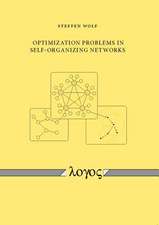 Optimization Problems in Self-Organizing Networks