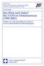 Den Blick nach Süden? Die NATO im Mittelmeerraum (1990-2003)