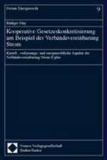 Kooperative Gesetzeskonkretisierung Am Beispiel Der Verbandevereinbarung Strom: Kartell-, Verfassungs- Und Europarechtliche Aspekte Der Verbandeverein