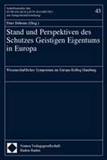 Stand und Perspektiven des Schutzes Geistigen Eigentums in Europa