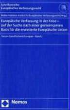 Europäische Verfassung in der Krise - auf der Suche nach einer gemeinsamen Basis für die erweiterte Europäische Union