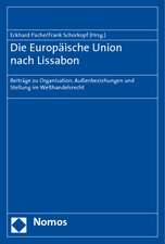 Die Europaische Union Nach Lissabon: Beitrage Zu Organisation, Aussenbeziehungen Und Stellung Im Welthandelsrecht