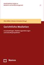 Gerichtliche Mediation