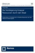 Die Versteigerung knapper Ressourcen durch den Staat