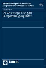 Die Anreizregulierung der Energieversorgungsnetze