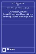 Grundlagen, Aktuelle Entwicklungen Und Perspektiven Der Europaischen Wahrungsunion: Verwaltungsverfahren - Prozess