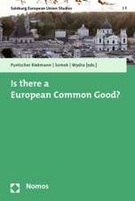 Is there a European Common Good?